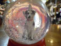 スノードーム　ブルームヘン snowshake ball MAGIC DOG L